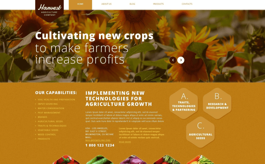 Психологія кольору у веб дизайні, помаранчевий, Harvest | Generator-Online.com